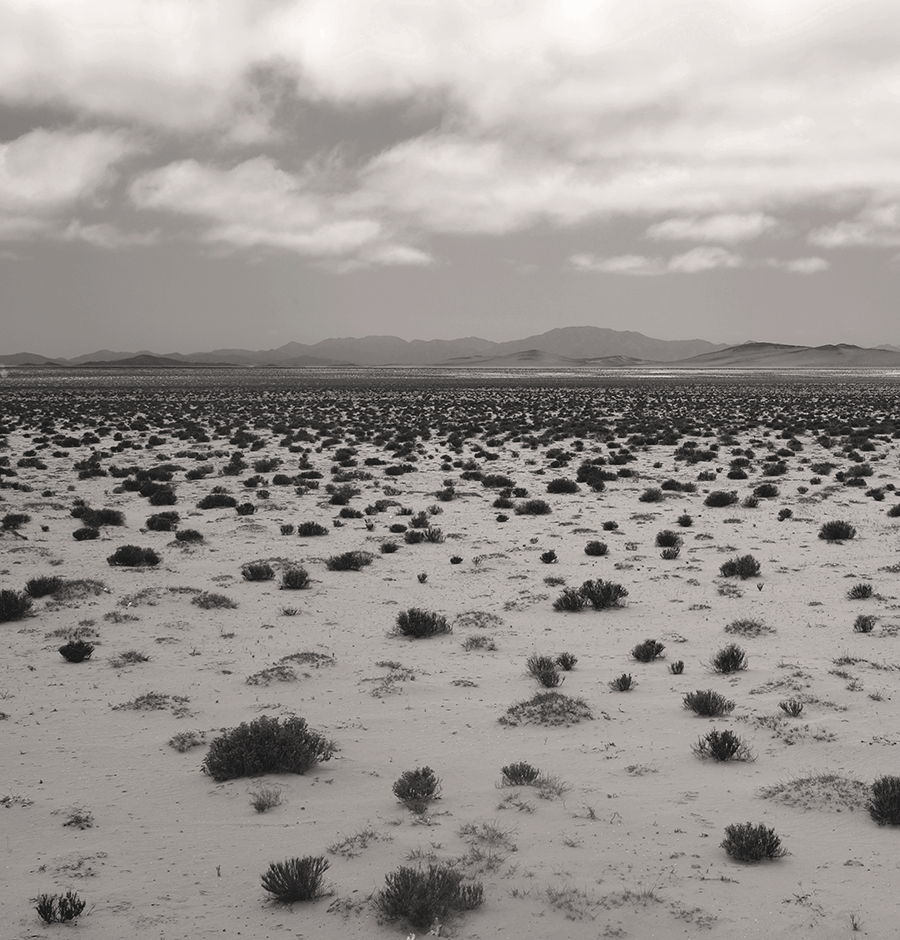 desierto-sergio-celume